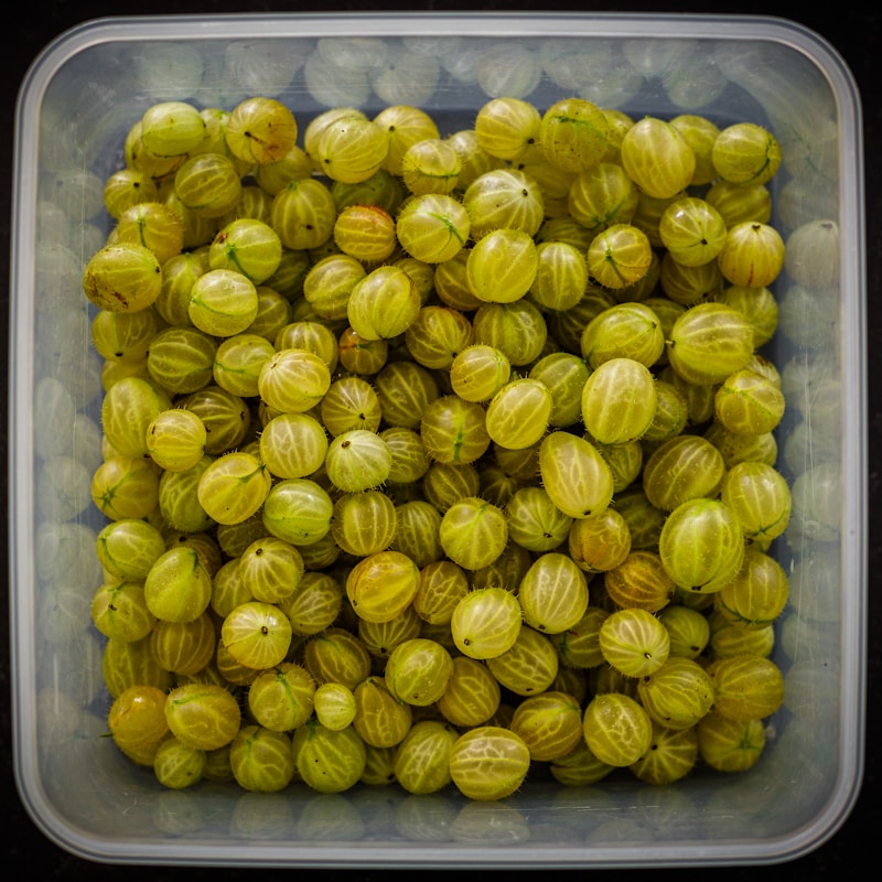 Amla Indian gooseberry Vitamin C