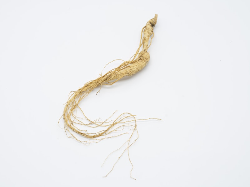 KSM-66 ashwagandha root extract