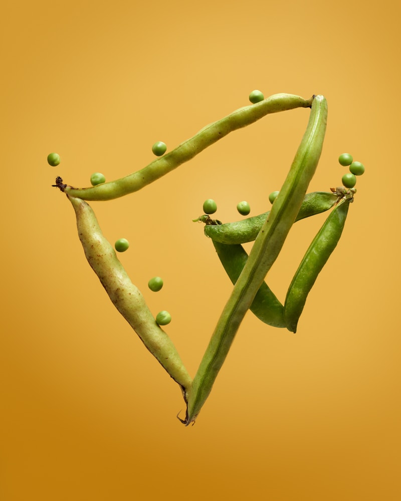PHGG prebiotic fibre for gut health