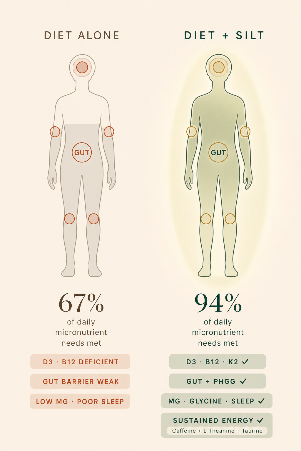 Diet alone vs Diet + SILT — nutrient gap comparison